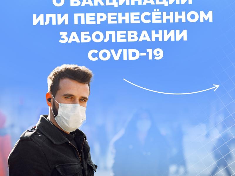 QR код инфографика 3