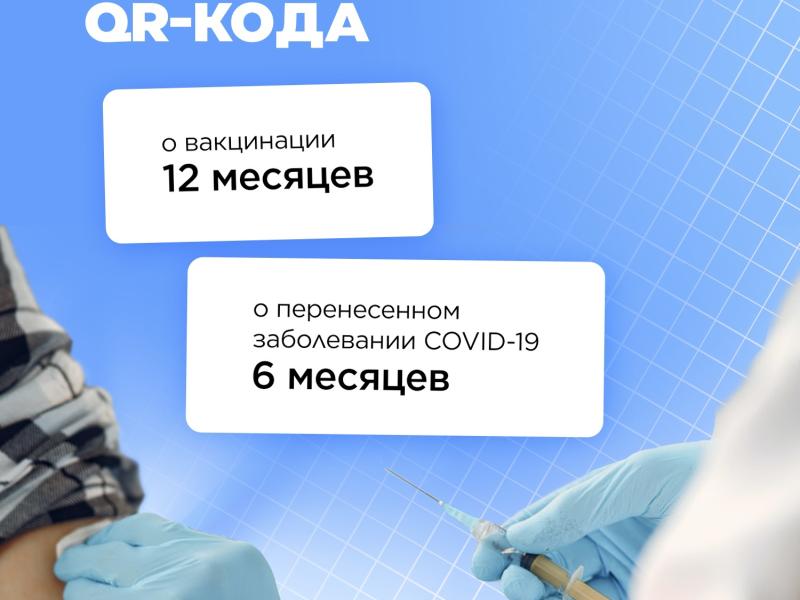 QR код инфографика 8